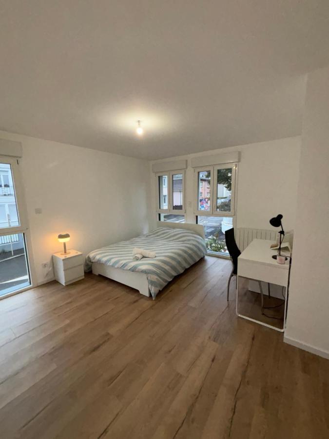 Appartement + Parking + Terrasse Mulhouse Esterno foto